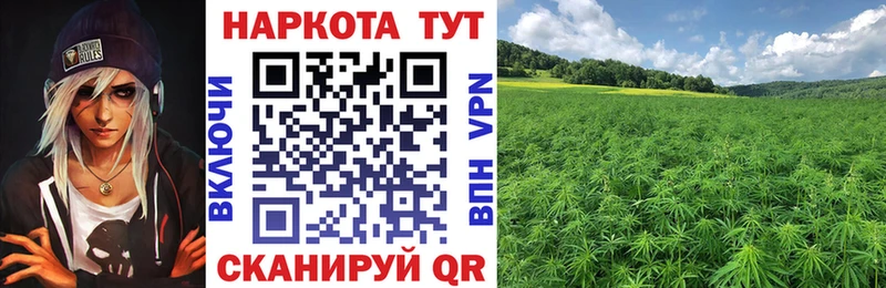Купить наркотик Междуреченск Бошки Шишки Меф Кокаин Гашиш