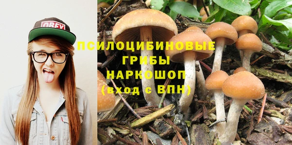 Альфа ПВП Козельск
