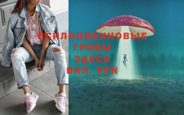 мдпв Кодинск