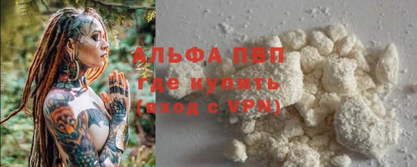 мдпв Кодинск