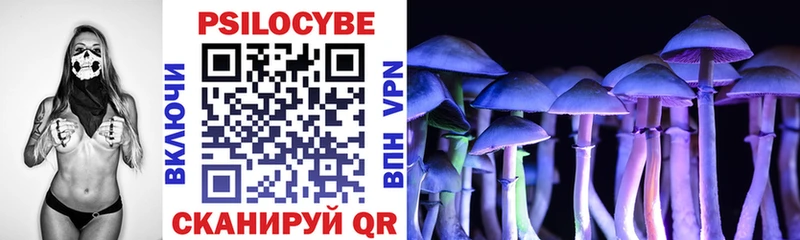 наркошоп  Междуреченск  Псилоцибиновые грибы Psilocybine cubensis 