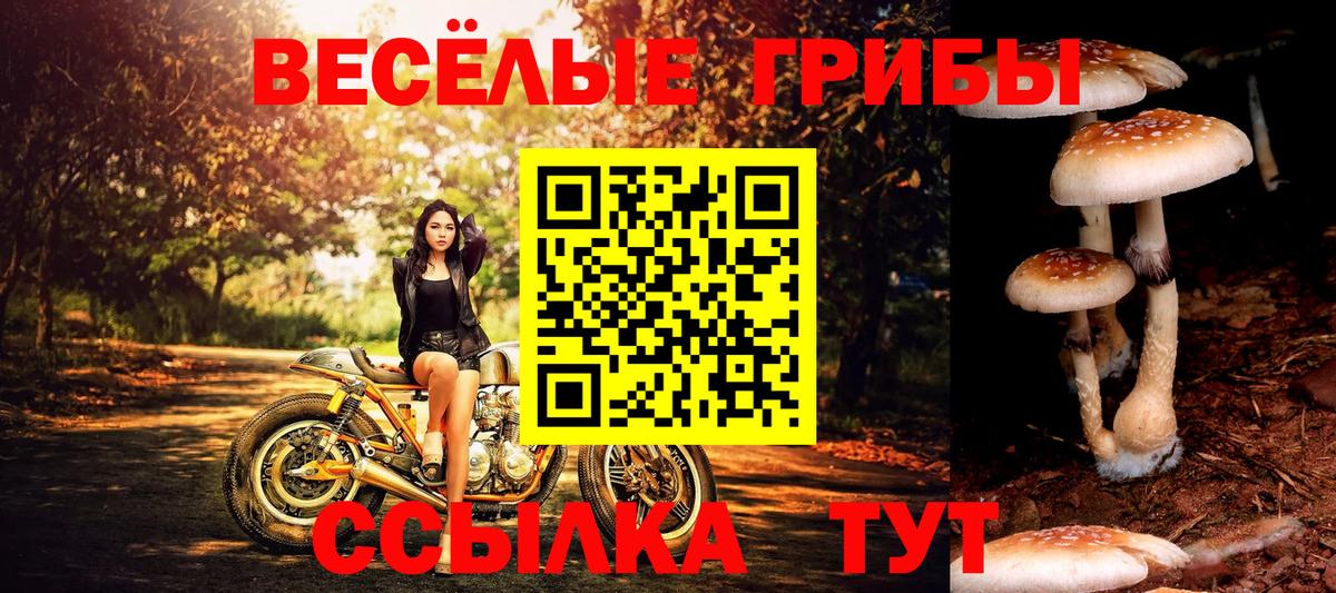 Галлюциногенные грибы мицелий  Вход с VPN  Междуреченск 
